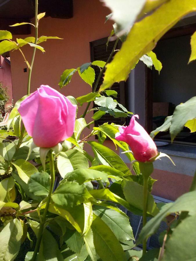 Le Ginestre Acomodação com café da manhã Caselle Torinese Exterior foto